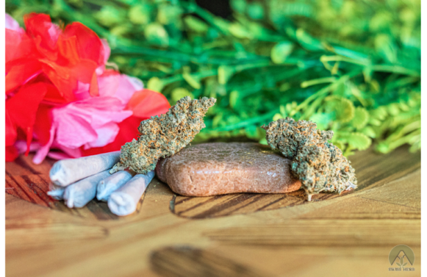 Le Tipologie di Marijuana