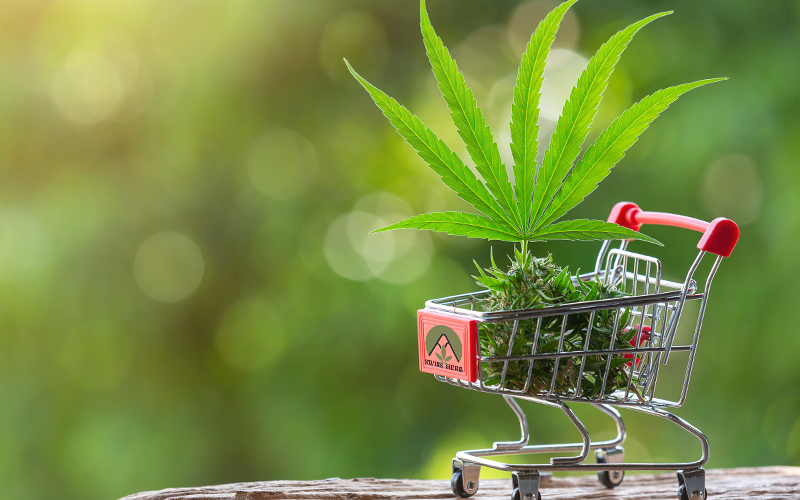 Spedizione & Pagamenti