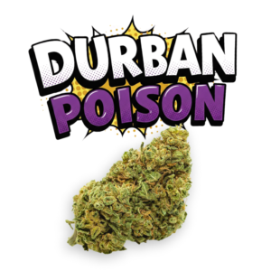 Durban Poison CBD