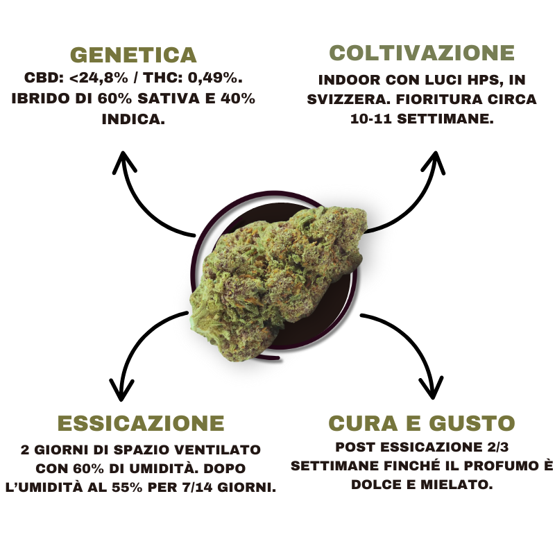 SWISSHERB_GIRL_SCOUT_COOKIES_CBD_DETTAGLI