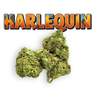 Harlequin CBD