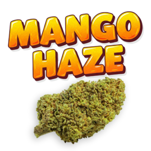 Mango Haze CBD