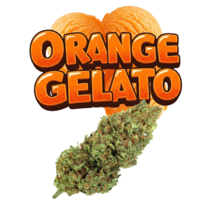 Orange Gelato Indoor CBD