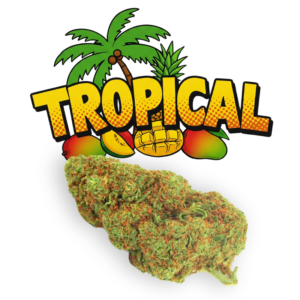 Tropical CBD
