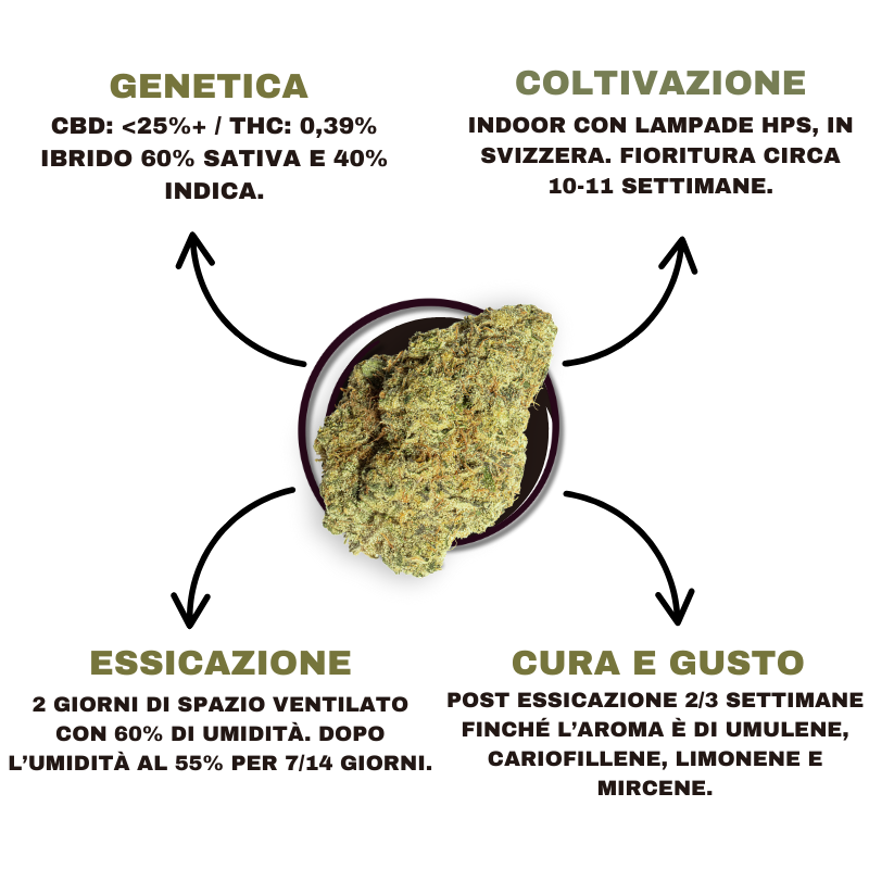 SWISSHERB_WEDDING_CAKE_CBD_DETTAGLI