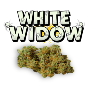 White Widow CBD
