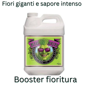 Advanced Nutrients Big Bud Specifiche Prodotto