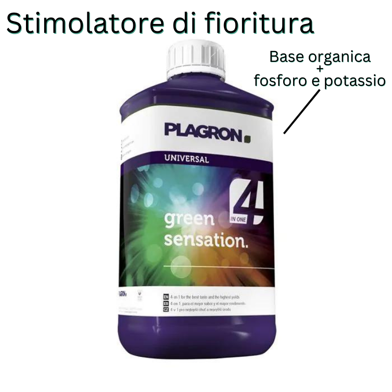 plagron-green-sensention-specifiche-prodotto-swiss-herb-original Plagron Green Sensation Specifiche Prodotto