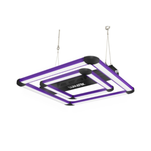LED Lumatek Attis 200W