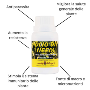 Olio di Neem - I Consigli dell'Esperto Specifiche Prodotto
