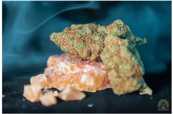 Per cosa viene utilizzata la Cannabis?