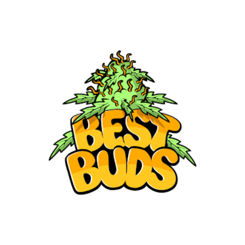 posacenere-sunset-sherbert-best-buds-logo-swiss-herb-original Posacenere Sunset Sherbert Best Buds Logo