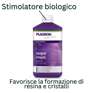 Plagron Sugar Royal Specifiche Prodotto