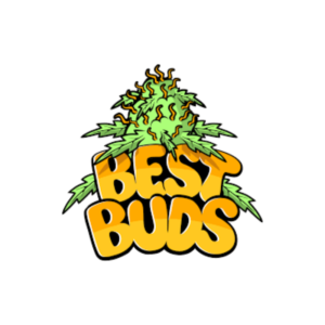 Vassoio Grande in Metallo “Smoke Me” Best Buds Logo