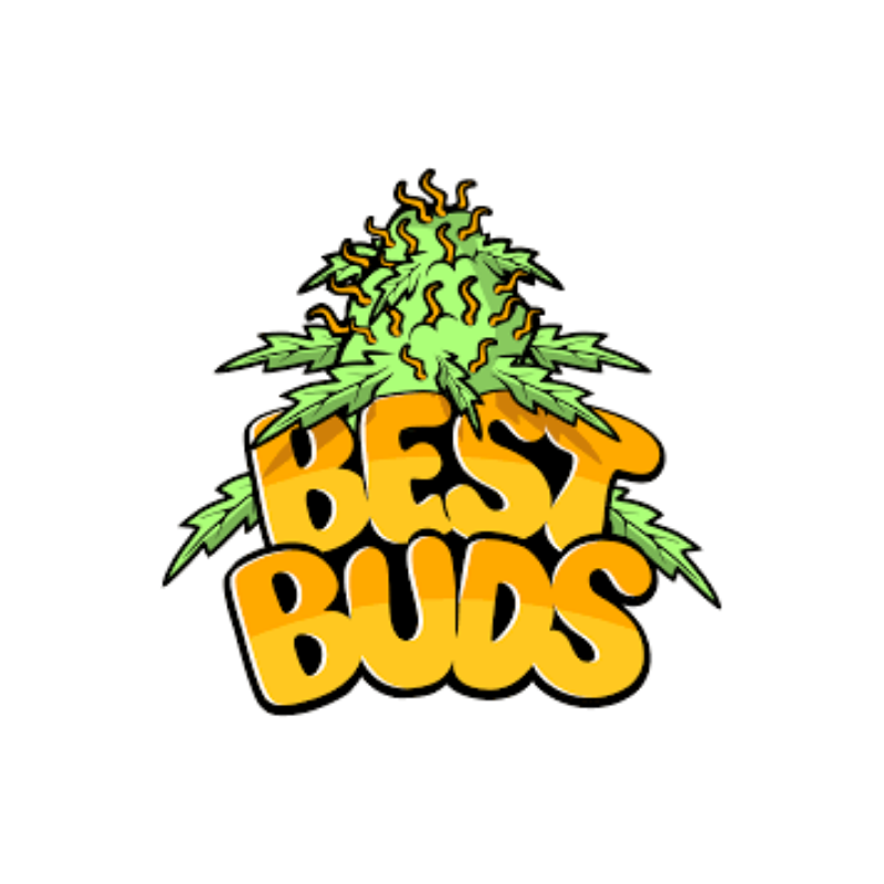 vassoio-grande-in-metallo-ak47-best-buds-logo-swiss-herb-original Vassoio Grande in Metallo “AK47” Best Buds Logo
